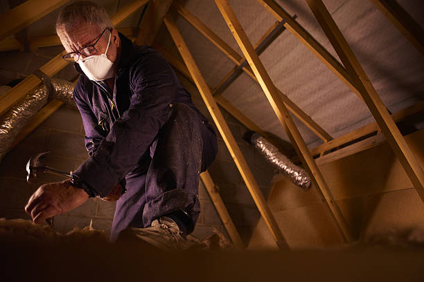 Best Specialized Insulation Services in Oakdale, PA