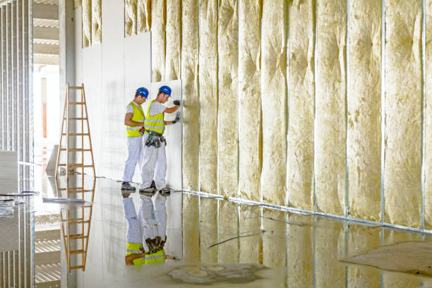 Best Spray Foam Insulation in Oakdale, PA